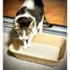 Midlee Disposable Cat Litter Boxes Pack Of 5- Travel Portable Pet Tray Liner