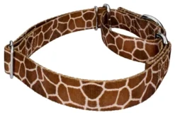 Country Brook Petz Giraffe Martingale Dog Collar -PawHut Store GUEST 95b3e6a2 00a9 4452 96a5 a31b5627a311