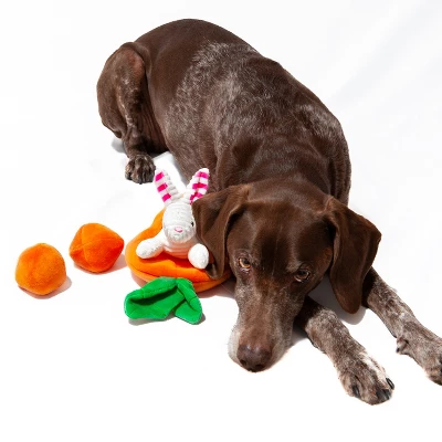 Midlee Hide A Toy Carrot Easter Dog Toy 4 Midlee Hide A Toy Carrot Easter Dog Toy - Image 4