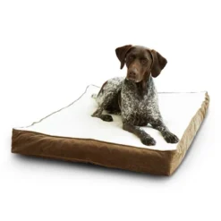 Kensington Garden Oscar Orthopedic Dog Bed - Latte/Birch 14 Kensington Garden Oscar Orthopedic Dog Bed - Latte/Birch -PawHut Store GUEST 979152d7 b356 426e 92a6 d8c4c4392083