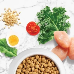 Nutro NATURAL CHOICE Puppy Chicken & Brown Rice Recipe Dry Dog Food - 5lbs