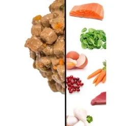 I And Love And You Grain Free Ninja Cat Jiu Jit Chicken Stew, Salmon And Tuna Premium Wet Cat Food - 3oz/12ct Variety Pack -PawHut Store GUEST 986cd483 a82e 42cb 9f20 2f8ec04fdff6