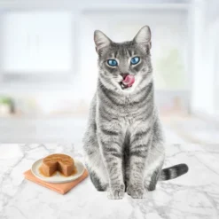 Blue Buffalo Tasteful Chicken, Turkey, Ocean Fish And Tuna Pate Flavoured Variety Wet Cat Food Pack - 5.5oz/24ct -PawHut Store GUEST 986e753a cbb3 4725 a836 7a98f34ea5e2