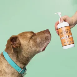 Natural Dog Company Wild Alaskan Salmon Oil -PawHut Store GUEST 98936bf9 ec2d 4164 9ad6 5dc2be09f3a8