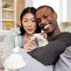 IAMS Advanced Healthy Digestion With Turkey & Chicken Flavour Adult Dry Cat Food - 7lbs 20 IAMS Advanced Healthy Digestion With Turkey & Chicken Flavour Adult Dry Cat Food - 7lbs -PawHut Store GUEST 98c557b1 ab63 4fe7 af61 278c6891bfbf