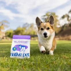 Native Pet Glandaid Anal Gland Supplement With Pumpkin For Dogs - 16oz -PawHut Store GUEST 98cc9988 f718 4b8a 806d a1721cee854c