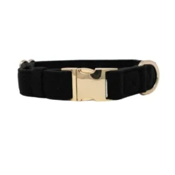 Pink Papyrus Ryan Dog Collar