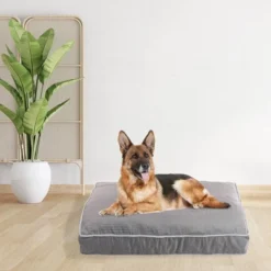 Precious Tails Rae Dunn Dream Orthopedic Cat And Dog Bed -PawHut Store GUEST 99749eb7 cc3c 4a44 bbd8 79670c4c4c97