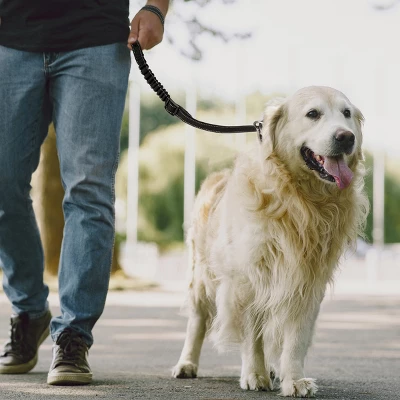 PAWBEE Dog Car Headrest Seatbelts – 2 Pack Durable Nylon Dog Seat Belts, With Reflective Elastic Bungee For Safety – Adjust To Fit All Your Cars 2 PAWBEE Dog Car Headrest Seatbelts – 2 Pack Durable Nylon Dog Seat Belts, With Reflective Elastic Bungee For Safety – Adjust To Fit All Your Cars - Image 2