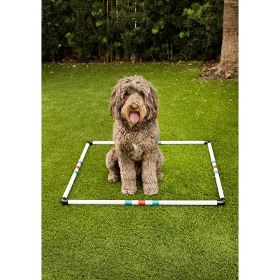 Midlee Dog Agility Pause Box 2 Midlee Dog Agility Pause Box - Image 2