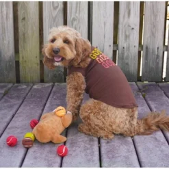 Thanksgiving Dog Tennis Balls 11 Thanksgiving Dog Tennis Balls -PawHut Store GUEST 9c1f9cc0 c923 4367 b7b2 a5a986e2d868