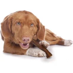 Cadet 6.5 Inch Rawhide Strips 50 Pack