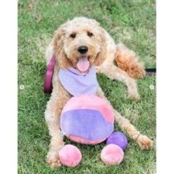 Midlee Hide A Ball Dog Toy - Pink/Purple 11 Midlee Hide A Ball Dog Toy - Pink/Purple -PawHut Store GUEST 9c55c542 d7c5 4925 9b2b ca7690cca34e