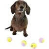 Midlee Small Dog Tennis Ball- Yellow/Lavender- Set Of 12