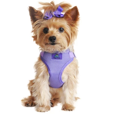 Doggie Design Wrap And Snap Choke Free Dog Harness - Paisley Purple 4 Doggie Design Wrap And Snap Choke Free Dog Harness - Paisley Purple - Image 4