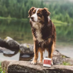 Fera Pet Organics Cardiac Heart Support Powder For Dogs And Cats - Fish Flavor 12 Fera Pet Organics Cardiac Heart Support Powder For Dogs And Cats - Fish Flavor -PawHut Store GUEST 9dab2347 7d92 4bae bc96 f551fb1b8903