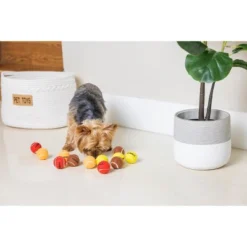 Thanksgiving Dog Tennis Balls 9 Thanksgiving Dog Tennis Balls -PawHut Store GUEST 9f1550ab ee6e 4638 a116 d28d85ee2581