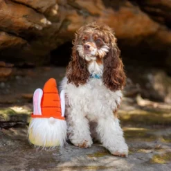 Midlee Easter Bunny Gnome Dog Toy -PawHut Store GUEST a0388a02 03fe 45dc ab2b 70164d969ee6