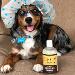 Natural Dog Company Sensitive Skin Shampoo - 12oz -PawHut Store GUEST a03dcb1d f2d1 477f 9dee 09a26b1e7c70
