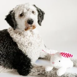 Midlee Stripe Ears White Easter Rabbit Dog Toy -PawHut Store GUEST a083905b c389 459f b0c9 229498cd94e5