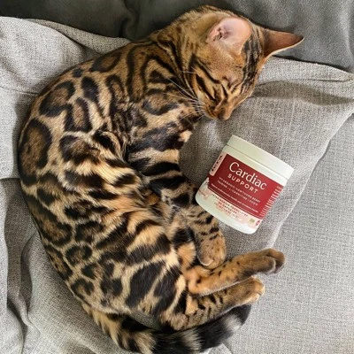 Fera Pet Organics Cardiac Heart Support Powder For Dogs And Cats - Fish Flavor 4 Fera Pet Organics Cardiac Heart Support Powder For Dogs And Cats - Fish Flavor - Image 4