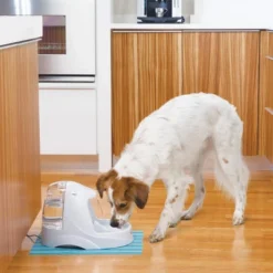 PetSafe Platinum Pet Fountain -PawHut Store GUEST a0f0c022 2335 4127 96d4 547cacfc55a0