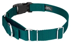 Country Brook Petz Durable Nylon Martingale With Deluxe Buckle - Made In The USA -PawHut Store GUEST a13439a0 0d97 4cb4 b52a 0ec4ff709f95