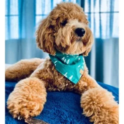 Rocket & Rex Waterproof Pet Blanket And Furniture Protector -PawHut Store GUEST a16b8418 a420 453e a588 c80f8b70c345