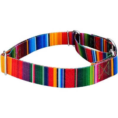 Country Brook Petz Serape Martingale Dog Collar And Leash 2 Country Brook Petz Serape Martingale Dog Collar And Leash - Image 2
