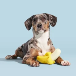 BARK Brawnana Super Chewer Dog Toy 11 BARK Brawnana Super Chewer Dog Toy -PawHut Store GUEST a1bff5d5 d5c0 4abc affc 25b36fd72f11