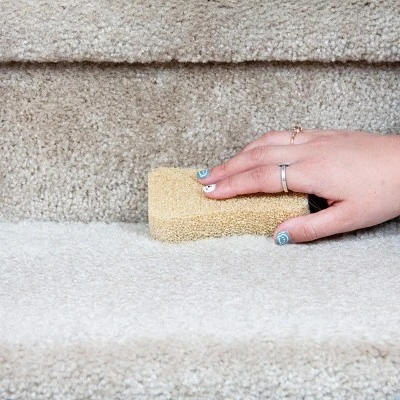 Grand Fusion Silicone Pet Hair Remover - Bone 8 Grand Fusion Silicone Pet Hair Remover - Bone - Image 8