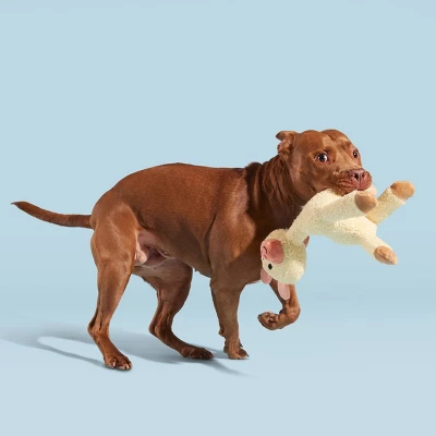 BARK Big Al Paca Dog Toy 5 BARK Big Al Paca Dog Toy - Image 5