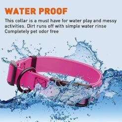 Dogline Biothane Waterproof Collar With QR Buckle Pink -PawHut Store GUEST a4cf5469 1ad3 43d9 81b5 db523e0f91f8