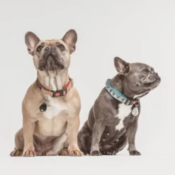 Tickless Natural Flea & Tick Repellent For All Dog Sizes - Black -PawHut Store GUEST a60022c8 93cb 4b6f bf02 1ab0e55ce625