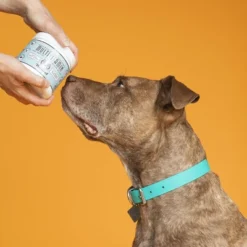 Natural Dog Company Multivitamin Supplements - Sweet Potato/Duck - 90ct -PawHut Store GUEST a60d087e 3d03 44f2 bc95 0febffd59210