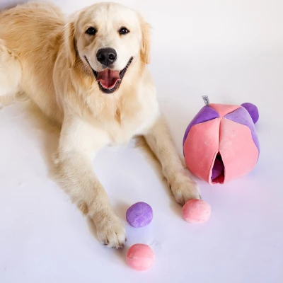 Midlee Hide A Ball Dog Toy - Pink/Purple 3 Midlee Hide A Ball Dog Toy - Pink/Purple - Image 3