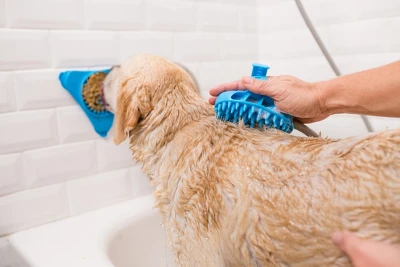 Aquapac Aquapaw Dog Bath Brush - Sprayer And Scrubber 3 Aquapac Aquapaw Dog Bath Brush - Sprayer And Scrubber - Image 3