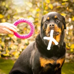 Midlee XO Valentine's Rope Dog Toy