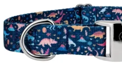 Country Brook Petz Premium Dinosaurs Dog Collar -PawHut Store GUEST a8c8638c 76de 429e 80fd d1e612b30819