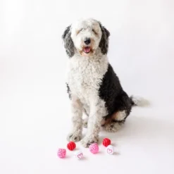 Midlee Valentine Plush Balls Dog Toy - Set Of 6