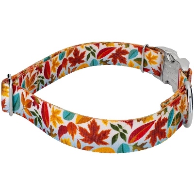 Country Brook Petz Premium Brisk Autumn Dog Collar 2 Country Brook Petz Premium Brisk Autumn Dog Collar - Image 2