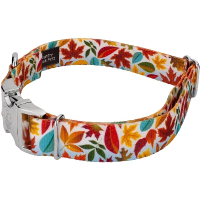 Country Brook Petz Premium Brisk Autumn Dog Collar 1 Country Brook Petz Premium Brisk Autumn Dog Collar