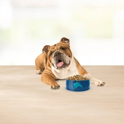 Blue Buffalo Basics Limited Ingredient Diet Healthy Weight Turkey & Potato Recipe Dry Dog Food 4 Blue Buffalo Basics Limited Ingredient Diet Healthy Weight Turkey & Potato Recipe Dry Dog Food - Image 4