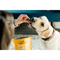 Ready Pet Go Turmeric & Collagen Dog Chews, Hip And Joint Chews For Dogs Mobility & Comfort, Bacon & Cheese Flavor, 90ct