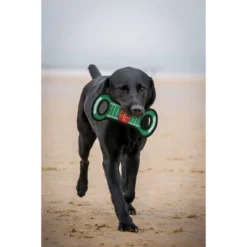 NCAA Iowa State Cyclones Field Dog Toy