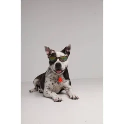 Tickless Natural Flea & Tick Repellent For All Dog Sizes - Orange 7 Tickless Natural Flea & Tick Repellent For All Dog Sizes - Orange -PawHut Store GUEST aa978628 0db8 4c4c 9639 9a2fad5213db