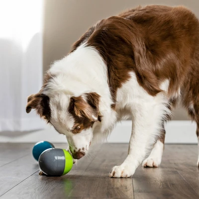 PetSafe Ricochet Battery Dog Toy - Gray 3 PetSafe Ricochet Battery Dog Toy - Gray - Image 3