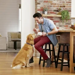 IAMS Healthy Weight With Real Chicken Adult Premium Dry Dog Food 11 IAMS Healthy Weight With Real Chicken Adult Premium Dry Dog Food -PawHut Store GUEST ab81e3bc faad 41f4 83da de412a55f5d0