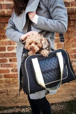 Pet Life Airline Approved Mystique Fashion Pet Carrier