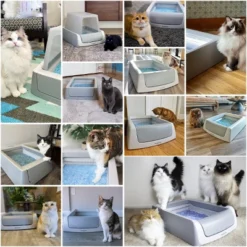 PetSafe ScoopFree Covered Self-Cleaning Cat Litter Box 14 PetSafe ScoopFree Covered Self-Cleaning Cat Litter Box -PawHut Store GUEST aca487b6 9a36 480a 9789 3f2632539b79 2
